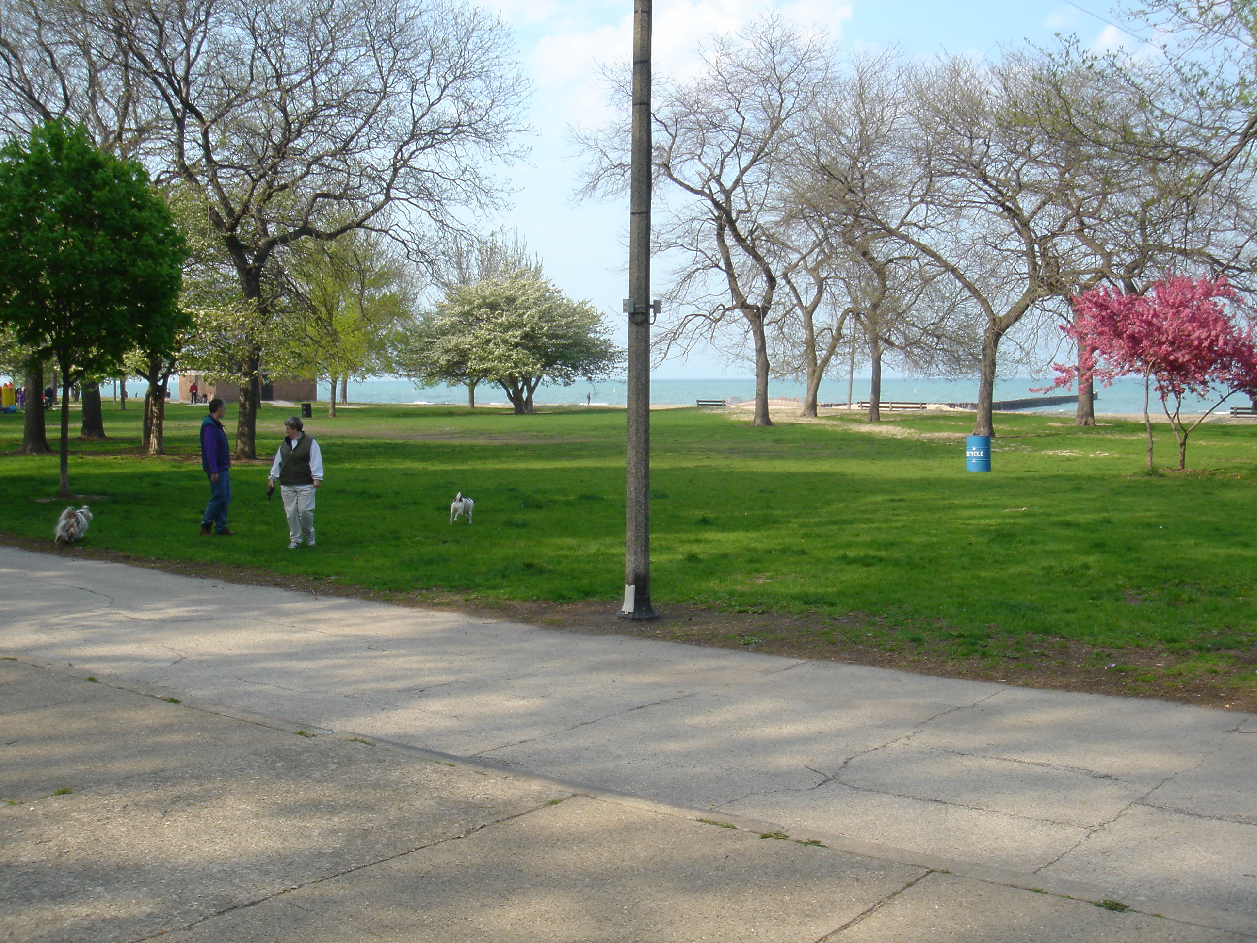 lakepark.jpg